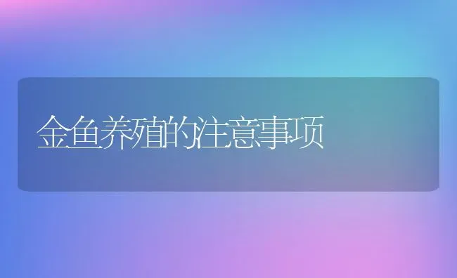 金鱼养殖的注意事项 | 动物养殖百科