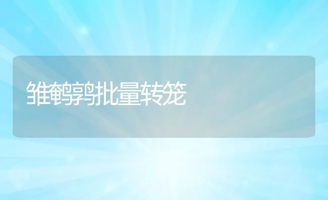 餐饮废物可制蛋白饲料 | 动物养殖学堂