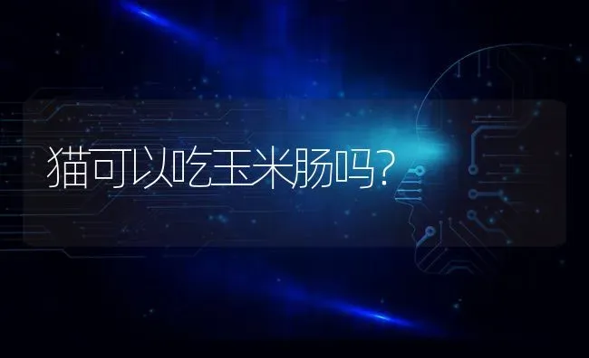 卡斯罗训练十五步骤？ | 动物养殖问答