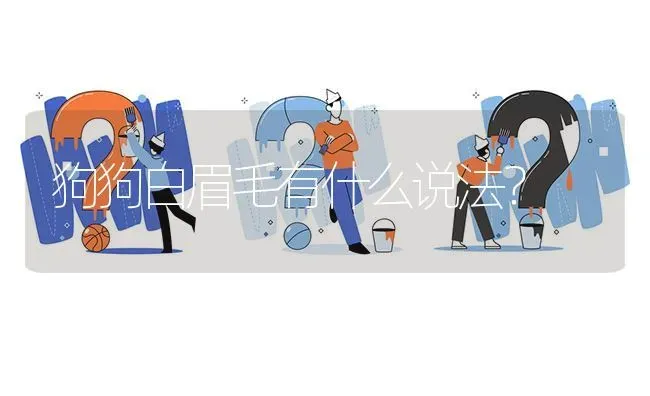 狗狗白眉毛有什么说法？ | 动物养殖问答