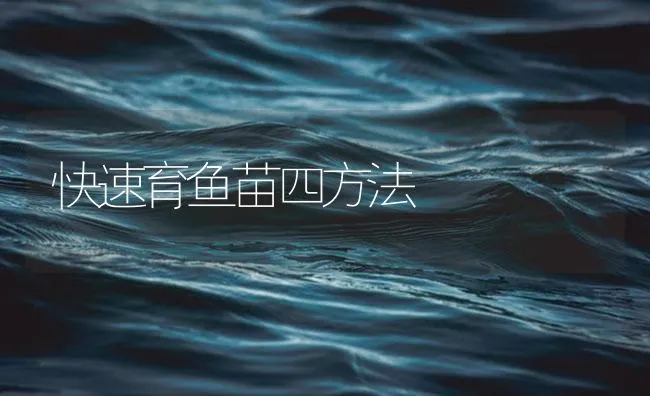 快速育鱼苗四方法 | 海水养殖技术