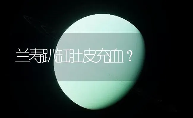 蓝点颏一年大叫几个月？ | 动物养殖问答