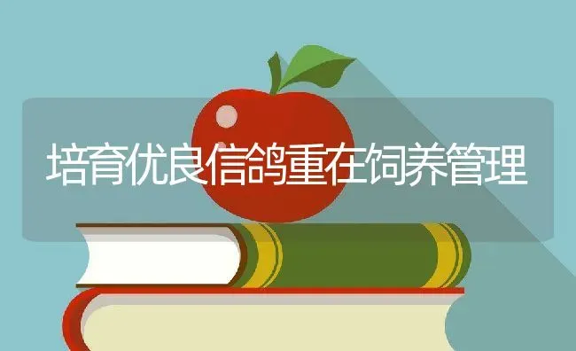 培育优良信鸽重在饲养管理 | 动物养殖教程