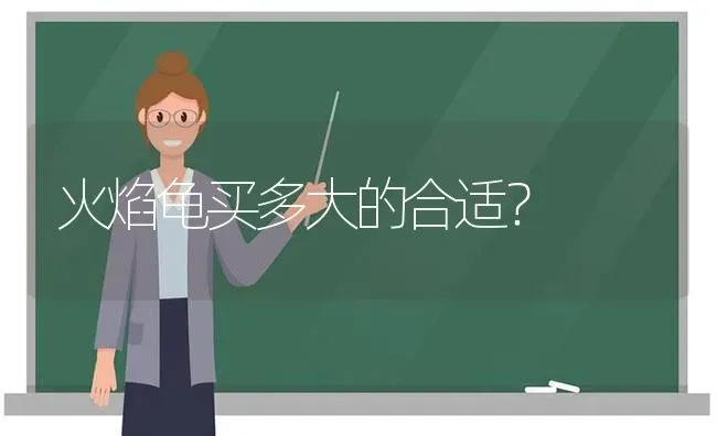 火焰龟买多大的合适？ | 动物养殖问答