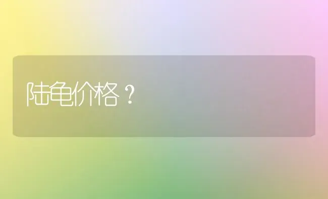 陆龟价格？ | 动物养殖问答