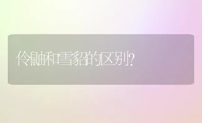 求解猫猫为什么不吃东西并且掉毛？ | 动物养殖问答