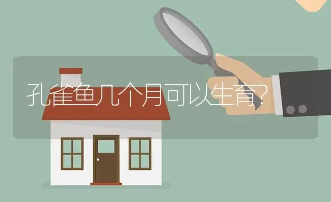 孔雀鱼几个月可以生育？ | 鱼类宠物饲养