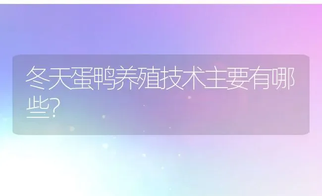 冬天蛋鸭养殖技术主要有哪些？ | 动物养殖百科