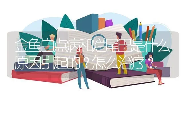 金鱼白点病和烂尾巴是什么原因引起的？怎么治疗？ | 鱼类宠物饲养