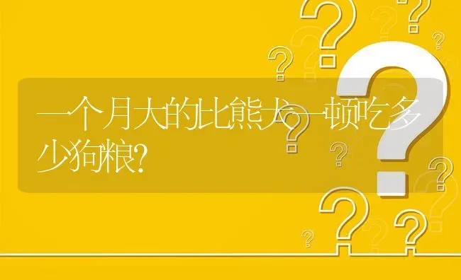 一个月大的比熊犬一顿吃多少狗粮？ | 动物养殖问答