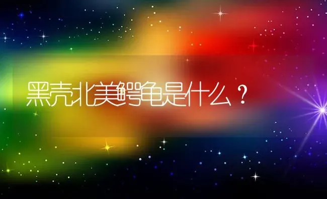 黑壳北美鳄龟是什么？ | 动物养殖问答