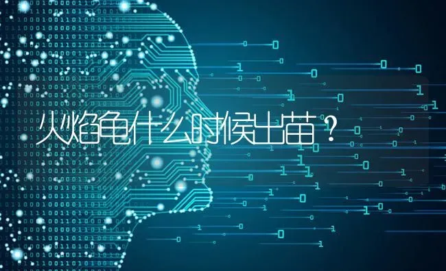 火焰龟什么时候出苗？ | 动物养殖问答