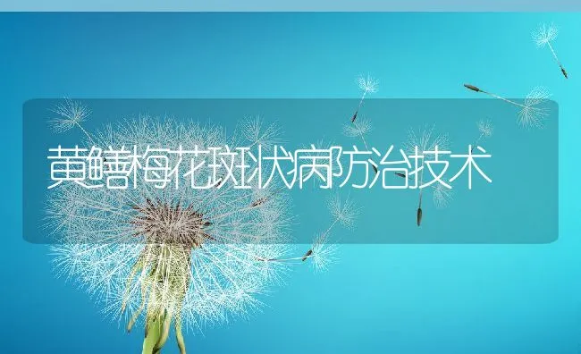 黄鳝梅花斑状病防治技术 | 水产养殖知识