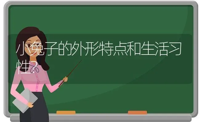 小兔子的外形特点和生活习性？ | 动物养殖问答