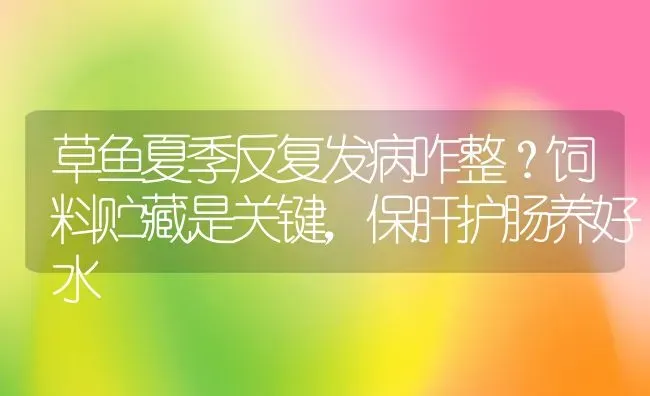 草鱼夏季反复发病咋整？饲料贮藏是关键，保肝护肠养好水 | 动物养殖百科