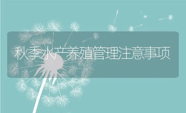 鳜鱼的高效养殖技术 | 动物养殖饲料