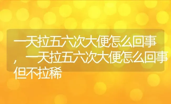 狐狸是保护动物吗,狐狸是保护动物吗?能否当宠物养 | 宠物百科知识