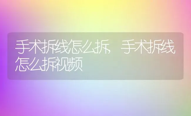 手术拆线怎么拆,手术拆线怎么拆视频 | 宠物百科知识