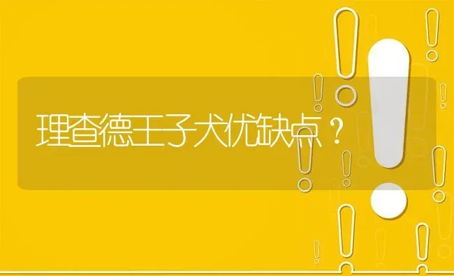 理查德王子犬优缺点？ | 动物养殖问答