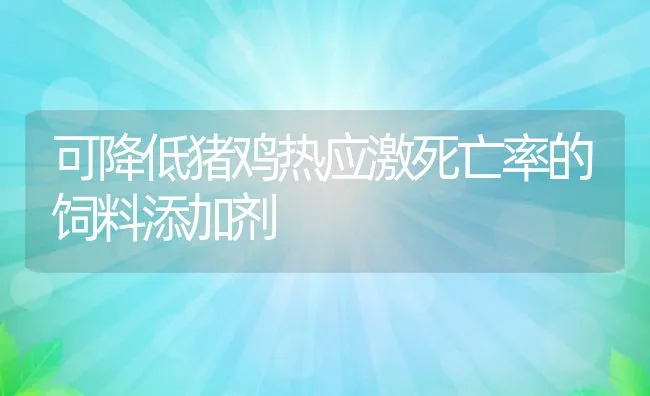 可降低猪鸡热应激死亡率的饲料添加剂 | 动物养殖学堂