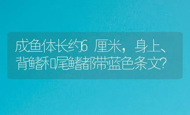 成鱼体长约6厘米，身上、背鳍和尾鳍都带蓝色条文？ | 鱼类宠物饲养