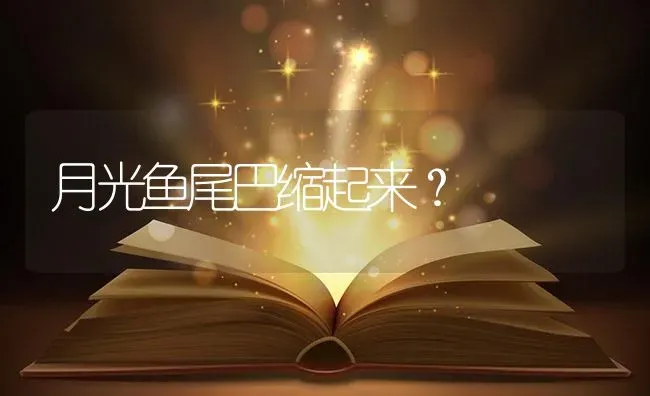 月光鱼尾巴缩起来？ | 鱼类宠物饲养