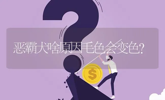 恶霸犬啥原因毛色会变色？ | 动物养殖问答