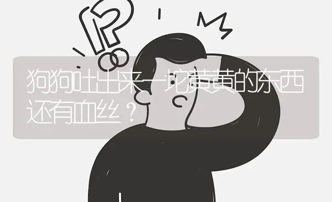 狗狗吐出来一坨黄黄的东西还有血丝？ | 动物养殖问答