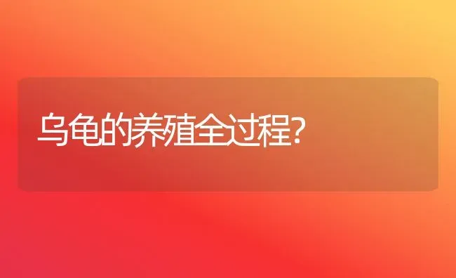 乌龟的养殖全过程？ | 动物养殖问答