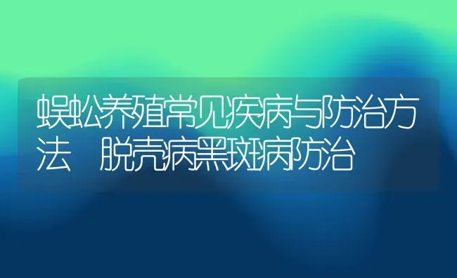 蜈蚣养殖常见疾病与防治方法 脱壳病黑斑病防治 | 动物养殖百科