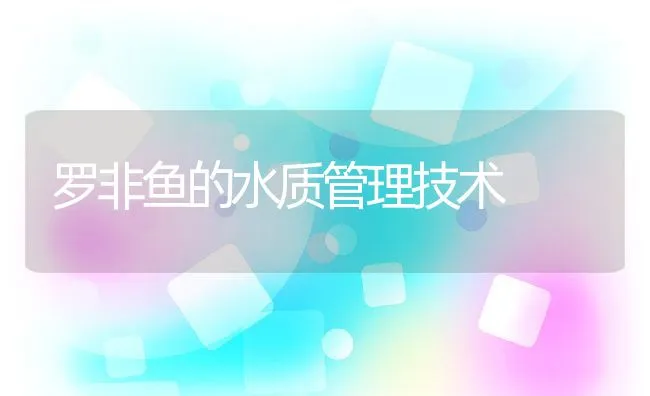 罗非鱼的水质管理技术 | 动物养殖饲料