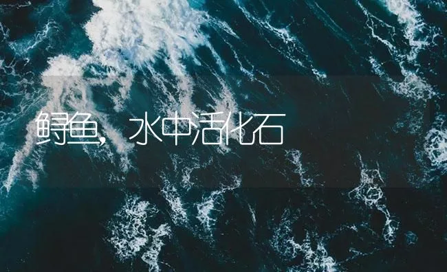 鲟鱼，水中活化石 | 海水养殖技术