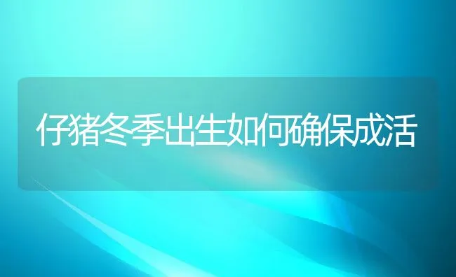 仔猪冬季出生如何确保成活 | 动物养殖饲料