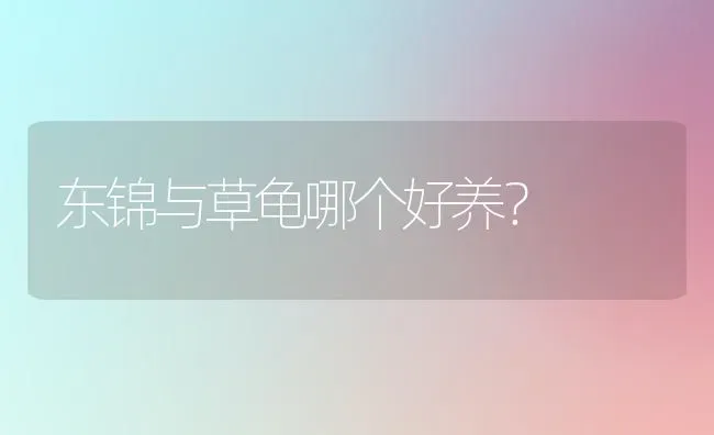 东锦与草龟哪个好养？ | 动物养殖问答