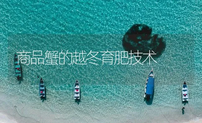 商品蟹的越冬育肥技术 | 海水养殖技术