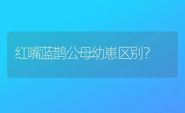 红嘴蓝鹊公母幼崽区别？ | 动物养殖问答