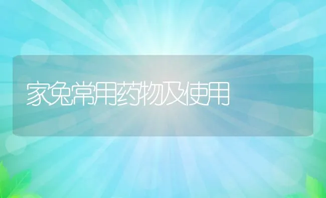 果园养兔技术 | 水产养殖知识