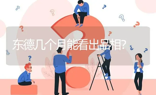 东德几个月能看出品相？ | 动物养殖问答