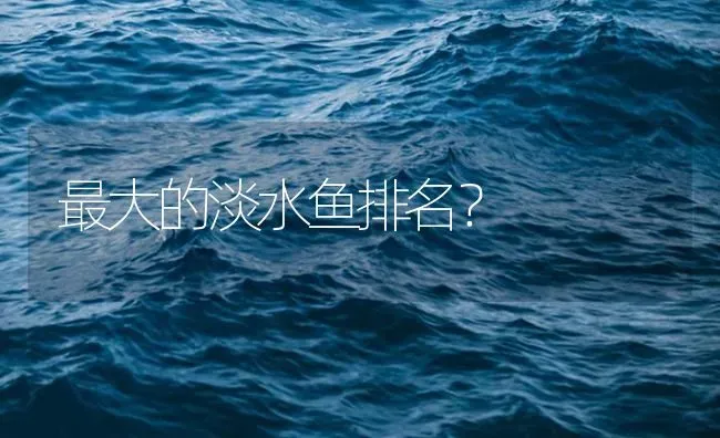 最大的淡水鱼排名？ | 鱼类宠物饲养