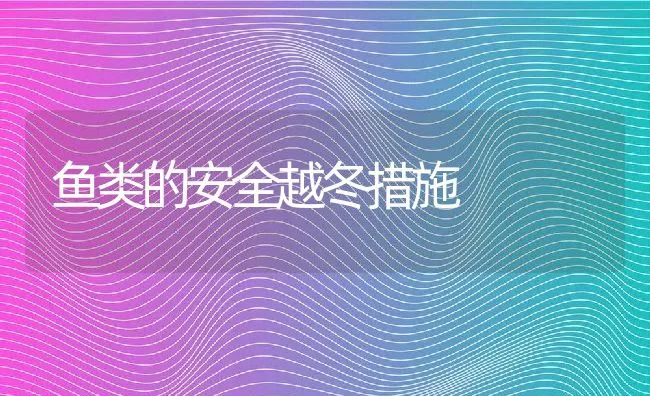 南美白对虾桃拉病毒病的防治 | 海水养殖技术