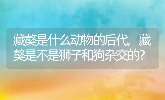 藏獒是什么动物的后代,藏獒是不是狮子和狗杂交的？ | 宠物百科知识