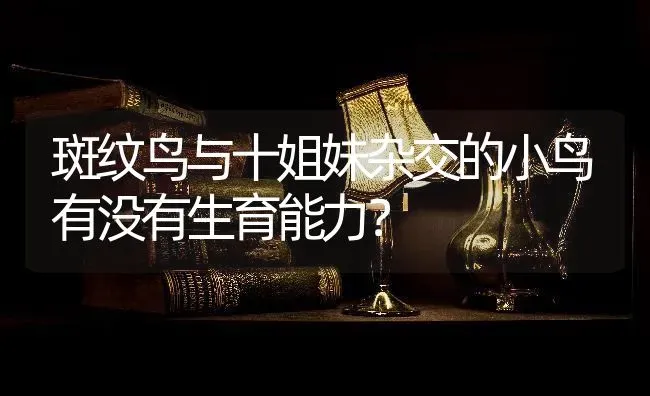 斑纹鸟与十姐妹杂交的小鸟有没有生育能力？ | 动物养殖问答