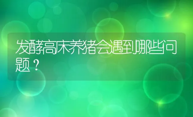 发酵高床养猪会遇到哪些问题？ | 动物养殖饲料