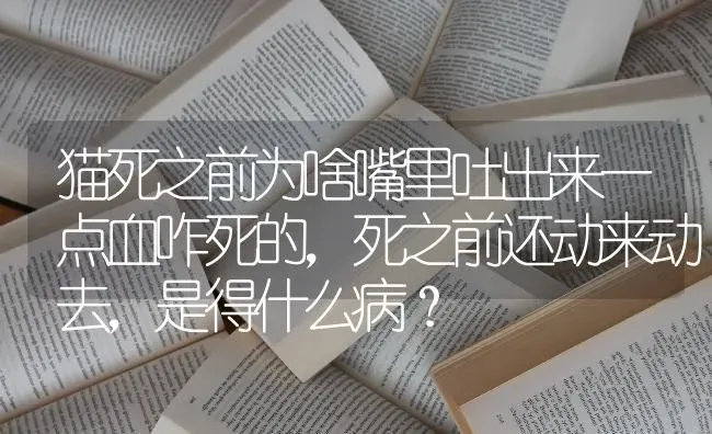 为什么农村能养国家三级保护动物狸猫？ | 动物养殖问答