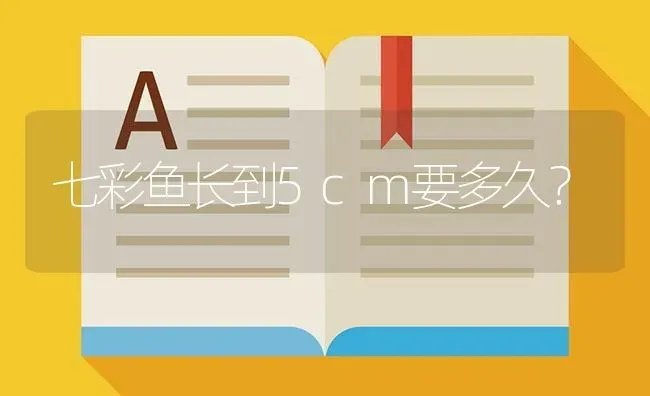 七彩鱼长到5cm要多久？ | 鱼类宠物饲养