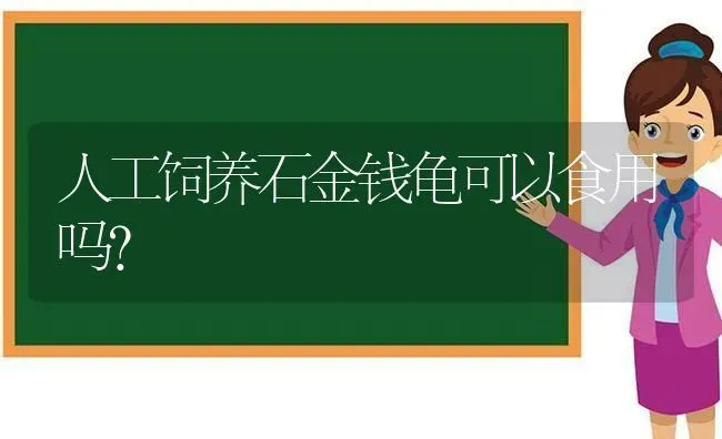 人工饲养石金钱龟可以食用吗？ | 动物养殖问答