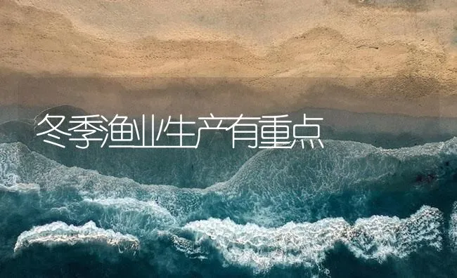 冬季渔业生产有重点 | 海水养殖技术