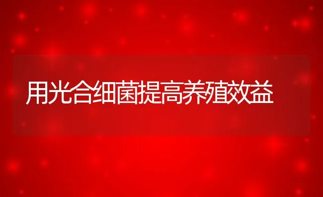 大菱鲆亲鱼海水小瓜虫病的防治方法 | 海水养殖技术