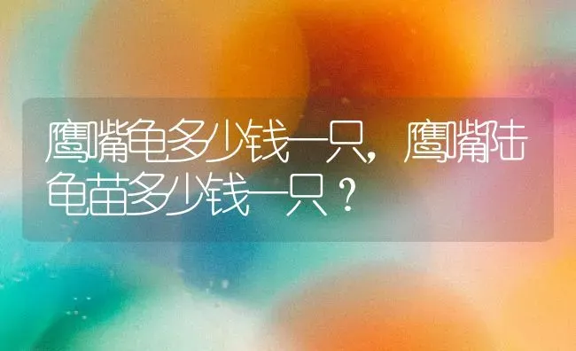 鹰嘴龟多少钱一只，鹰嘴陆龟苗多少钱一只？ | 动物养殖问答