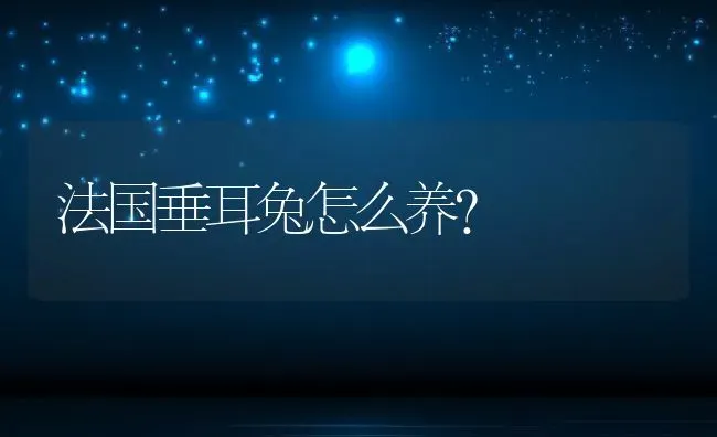 法国垂耳兔怎么养？ | 动物养殖百科